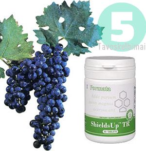 Galingas antioksidantas, stiprina imuninį sistema - Shields Up TR (60)