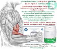 Naujausi skelbimai