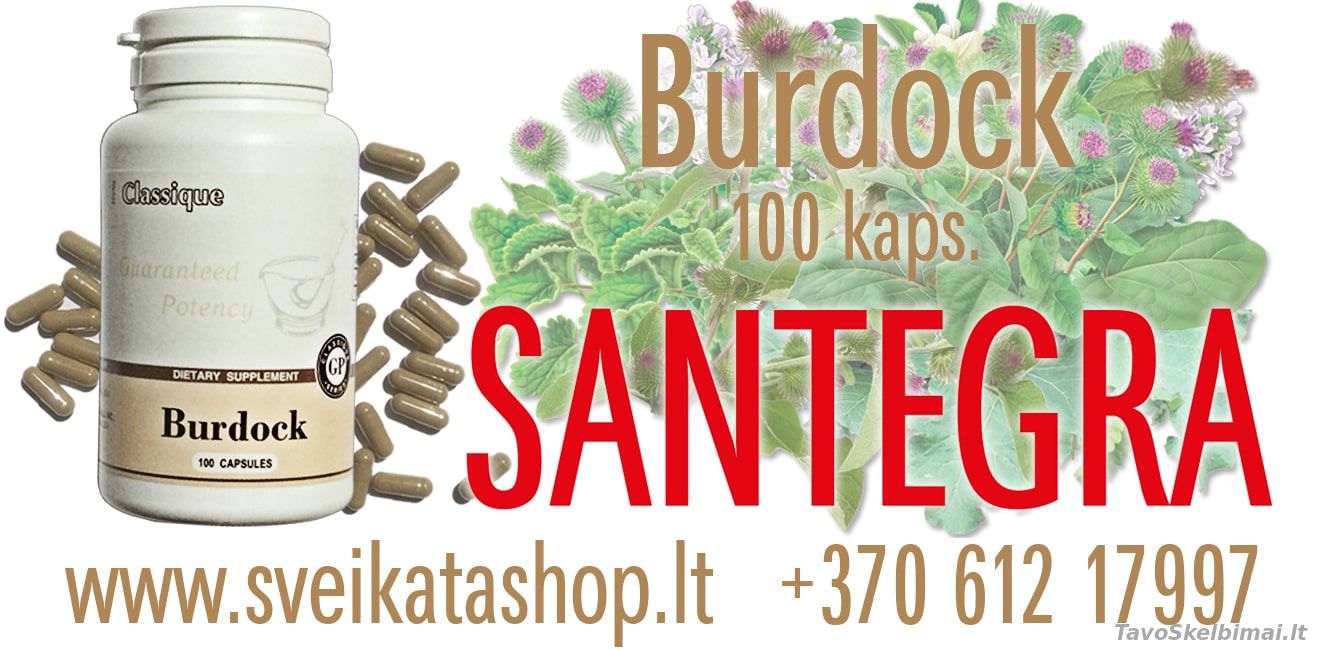 Burdock 100 kaps Santegra